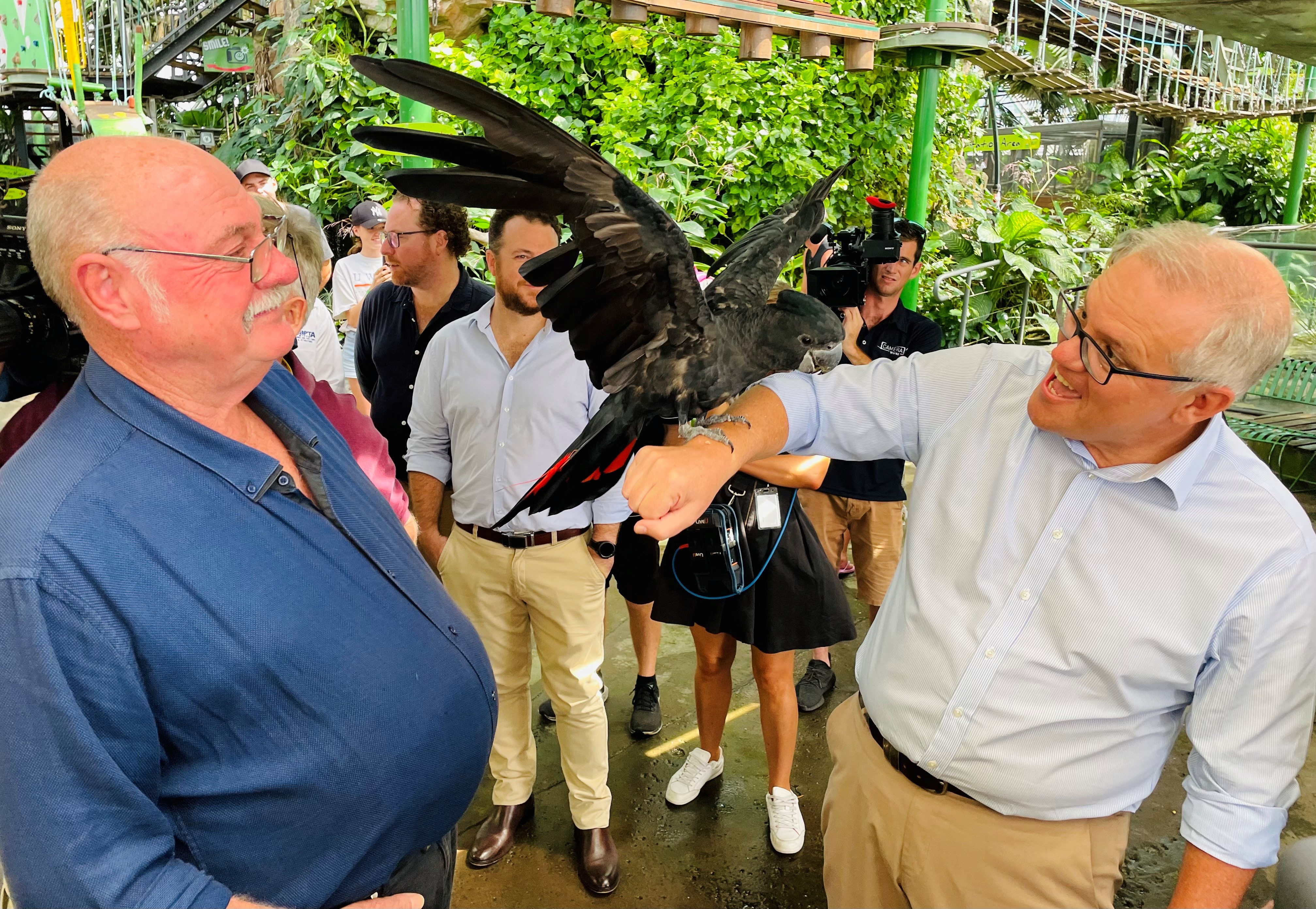 Scott Morrison holds a red-tailed black cockatoo during a press conference at a far north Queensland wildlife park.